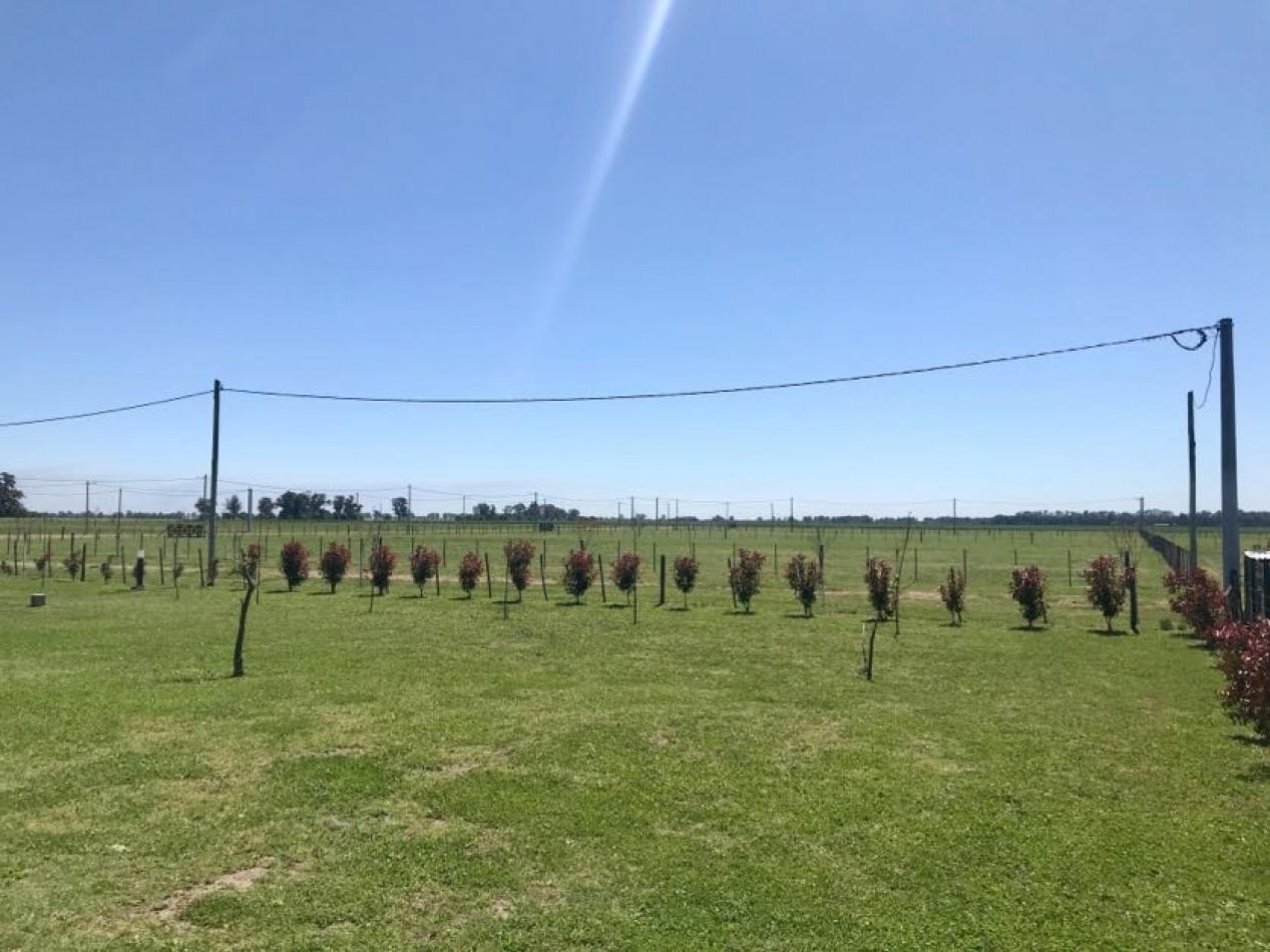 Chacras del 28 - Alsina - Baradero. NUEVO LANZAMIENTO 