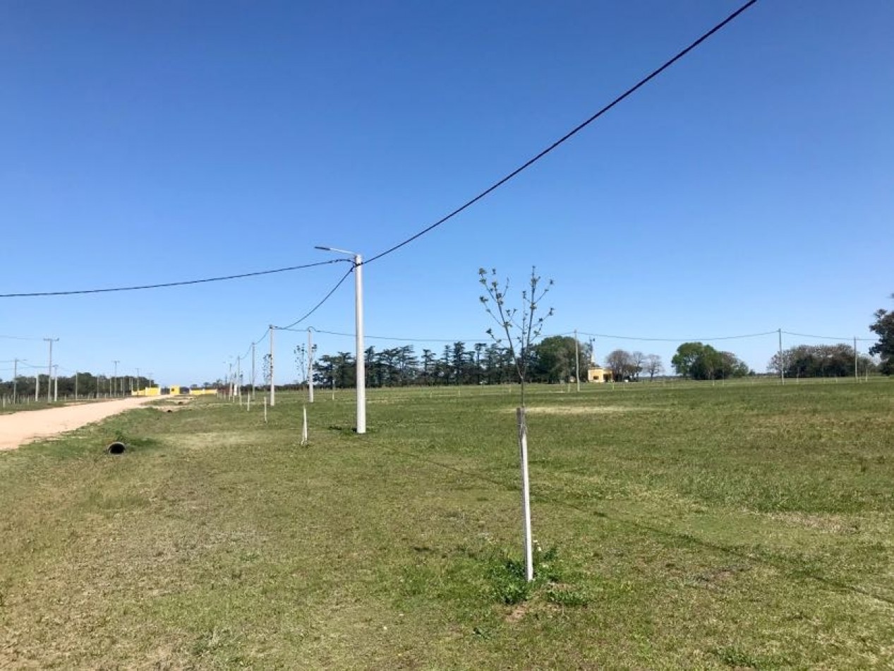 Chacras del 28 - Alsina - Baradero. NUEVO LANZAMIENTO 