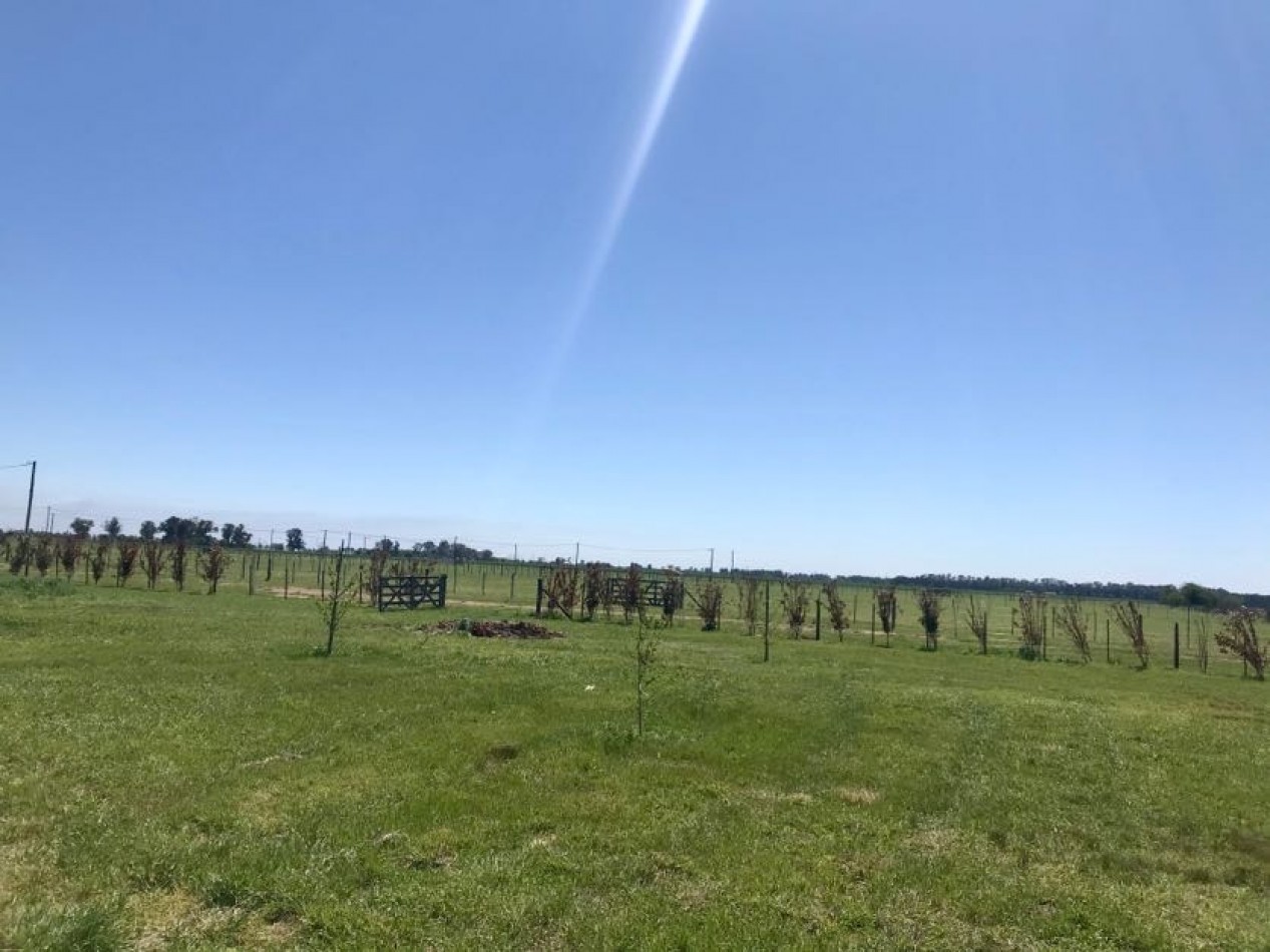 Chacras del 28 - Alsina - Baradero. NUEVO LANZAMIENTO 