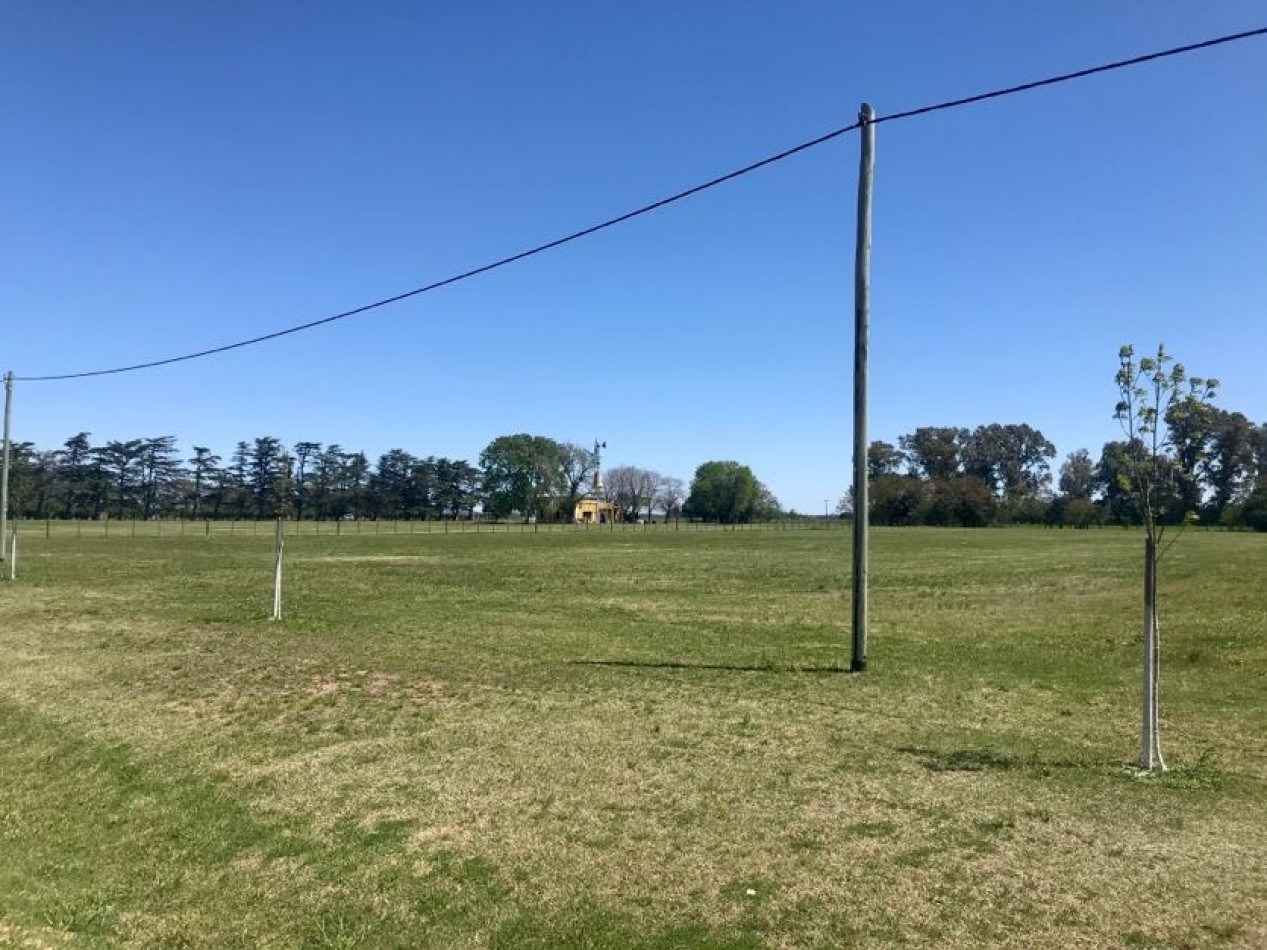 Chacras del 28 - Alsina - Baradero. NUEVO LANZAMIENTO 