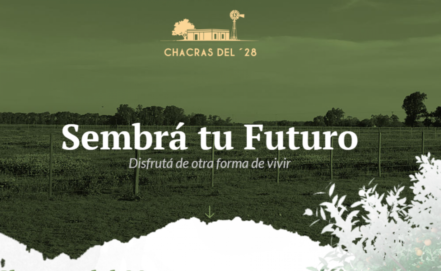 Chacras del 28 - Alsina - Baradero. NUEVO LANZAMIENTO 