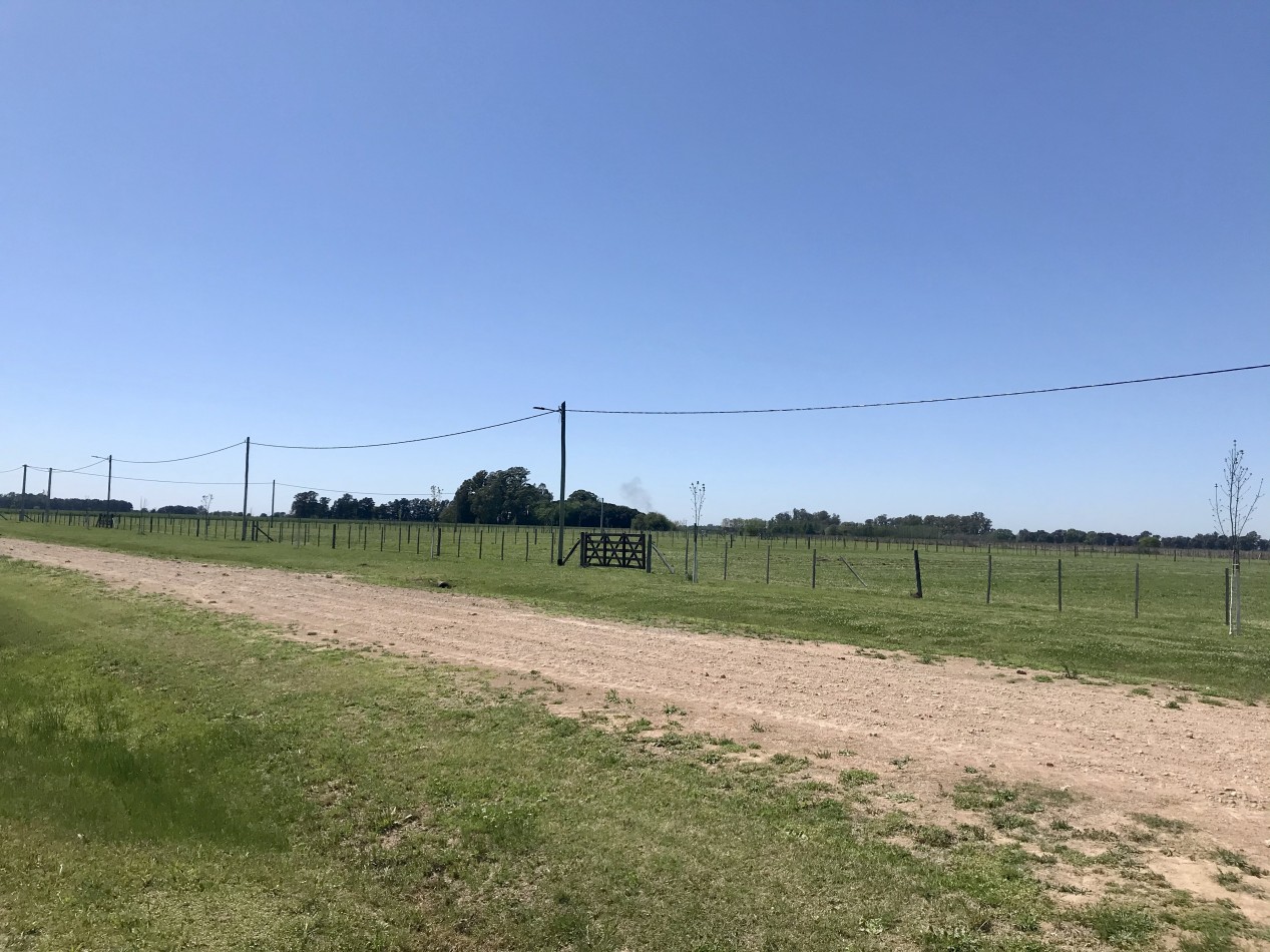 Chacras del 28 - Alsina - Baradero. NUEVO LANZAMIENTO 