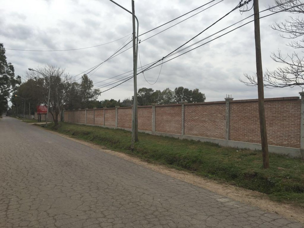TERRENO de 12.000m2 - Benavidez 
