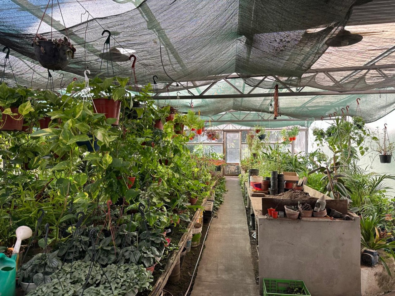 FONDO DE COMERCIO 40 AÑOS DE CLIENTELA