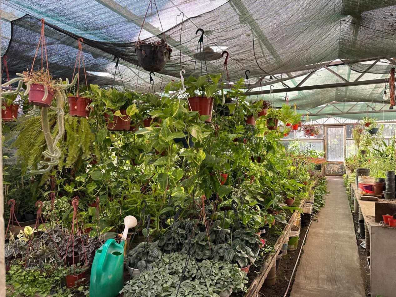 FONDO DE COMERCIO 40 AÑOS DE CLIENTELA