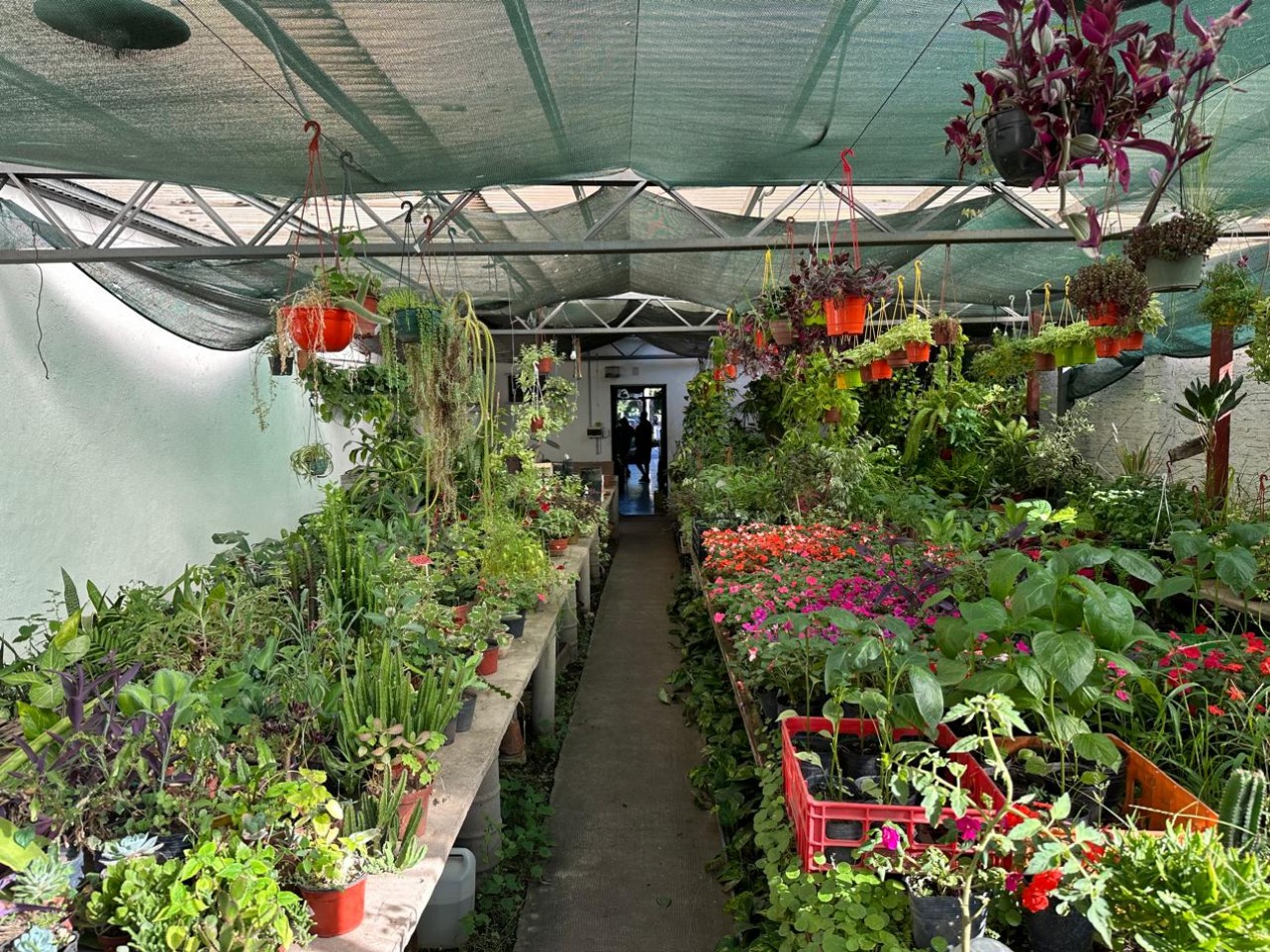 FONDO DE COMERCIO 40 AÑOS DE CLIENTELA